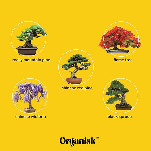 Organisk Bonsai Starter Kit - 5 Unique Tree Types, Special DIY Garden Hobby Kits, Amazing Gift for any Occasion