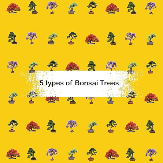 Organisk Bonsai Starter Kit - 5 Unique Tree Types, Special DIY Garden Hobby Kits, Amazing Gift for any Occasion