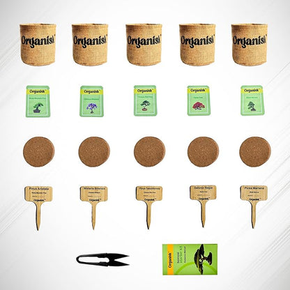 Organisk Bonsai Starter Kit - 5 Unique Tree Types, Special DIY Garden Hobby Kits, Amazing Gift for any Occasion
