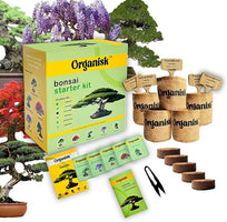 Organisk Bonsai Starter Kit - 5 Unique Tree Types, Special DIY Garden Hobby Kits, Amazing Gift for any Occasion
